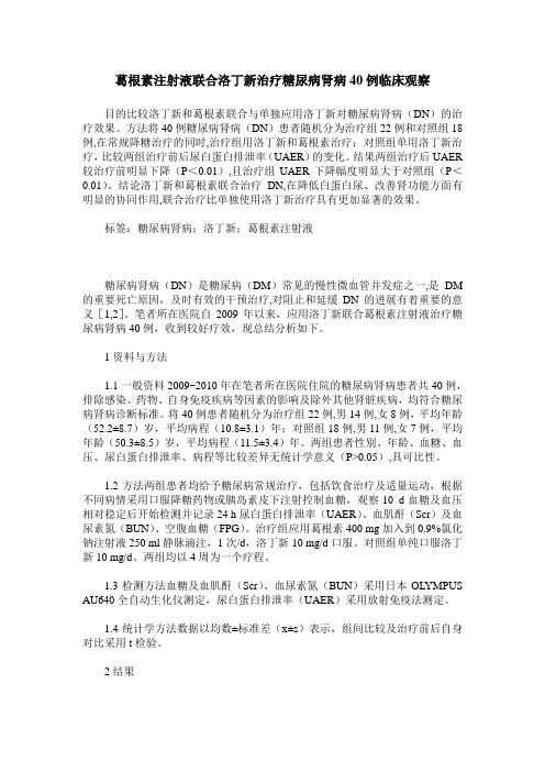 葛根素注射液联合洛丁新治疗糖尿病肾病40例临床观察