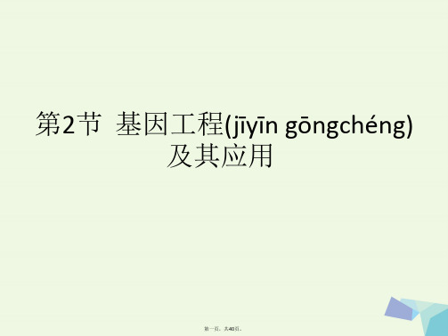 湖南省长沙市高中生物第六章从杂交育种到基因工程6.2基因工程及其应用课件新人教版必修2
