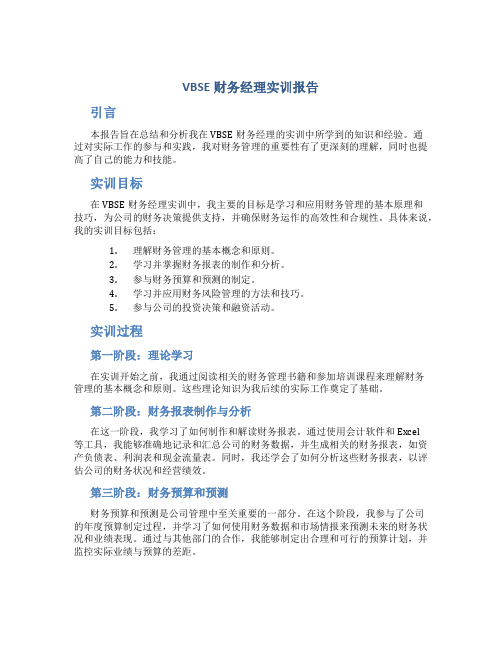 vbse财务经理实训报告