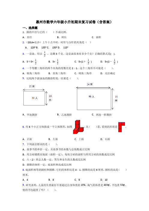 惠州市数学六年级小升初期末复习试卷(含答案)