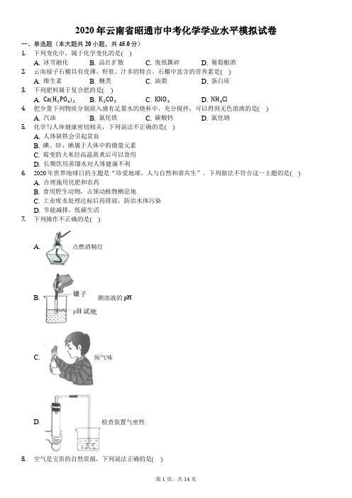 2020年云南省昭通市中考化学学业水平模拟试卷