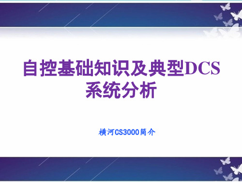 DCS系统培训课件(CS3000)