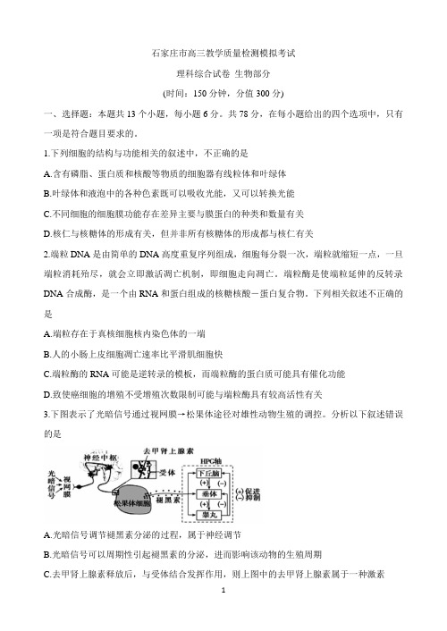 河北省石家庄市2020届高三下学期3月教学质量检测模拟考试 生物 Word版含答案