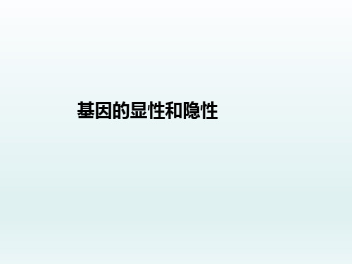 人教版生物八年级下册7.2.3《基因的显性和隐性》课件 (共34张PPT)