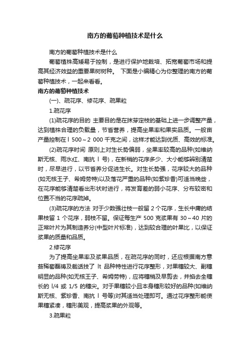 南方的葡萄种植技术是什么