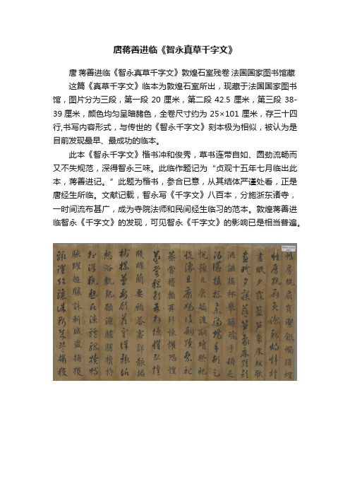 唐蒋善进临《智永真草千字文》