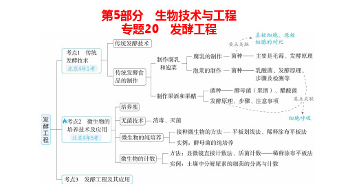 高中生物总复习讲解课件：专题20  发酵工程