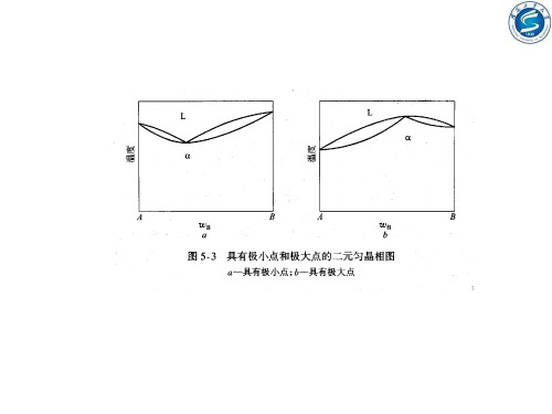 固溶体合金的平衡凝固