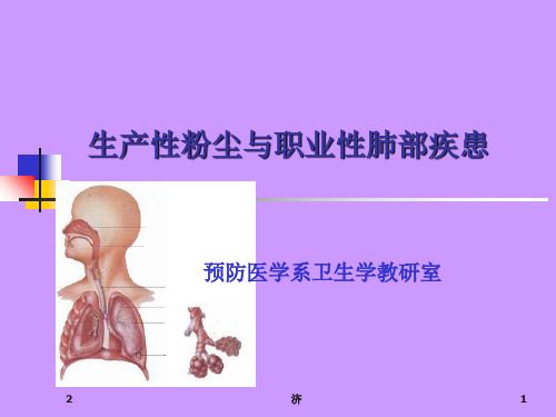 生产性粉尘与肺部疾患参考