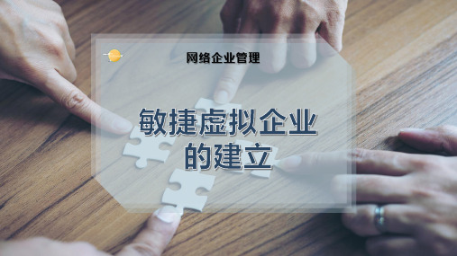 敏捷虚拟企业的建立