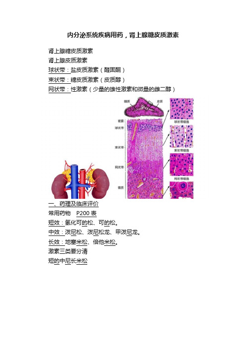 内分泌系统疾病用药，肾上腺糖皮质激素