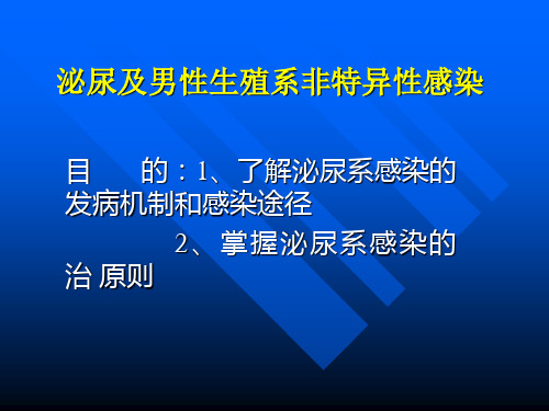 泌尿及男性生殖系非特异性感染