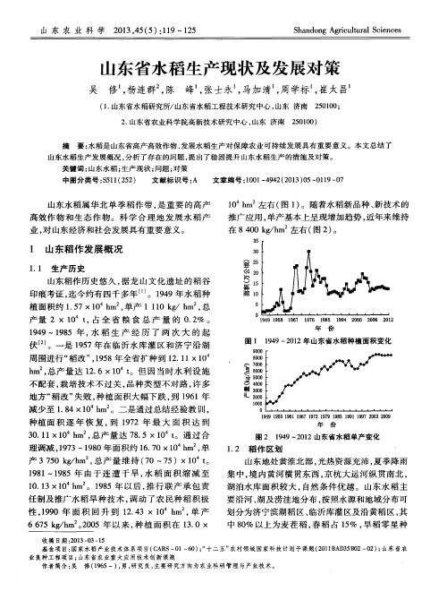 山东省水稻生产现状及发展对策