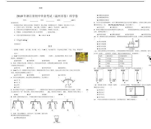 2019年温州市中考科学试题与 答案