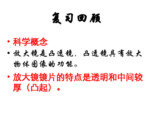 教科版六年级下册科学1.3放大镜下的晶体课件