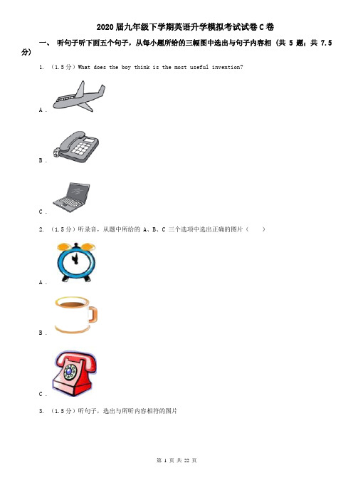 2020届九年级下学期英语升学模拟考试试卷C卷