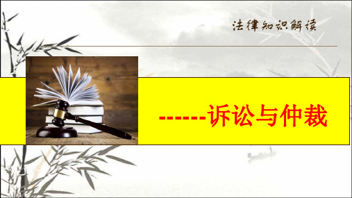 诉讼与仲裁 PPT