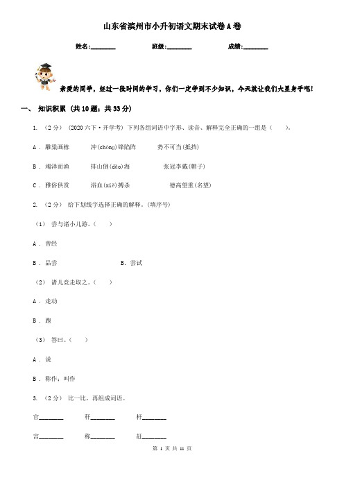 山东省滨州市小升初语文期末试卷A卷