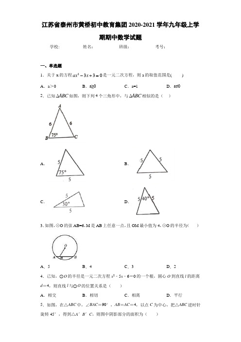 江苏省泰州市黄桥初中教育集团2020-2021学年九年级上学期期中数学试题