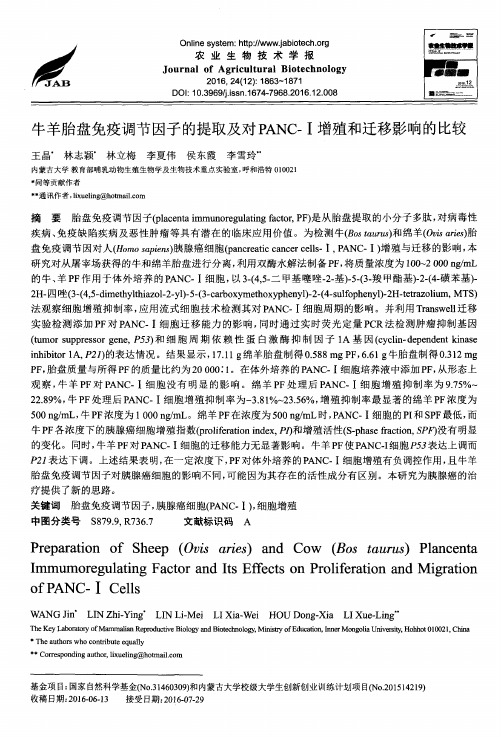 牛羊胎盘免疫调节因子的提取及对PANC-Ⅰ增殖和迁移影响的比较