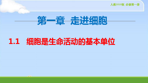 【新教材(人教版)】生物第一章 第一节 细胞是生命活动的基本单位 课件