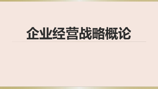 企业经营战略概论第十四章课件