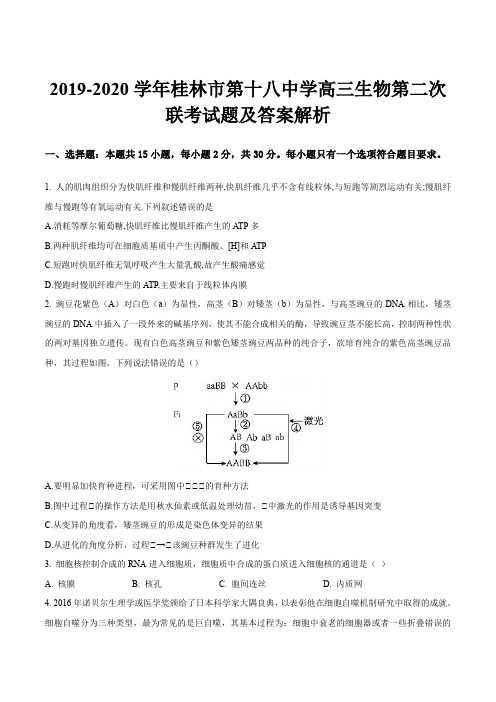 2019-2020学年桂林市第十八中学高三生物第二次联考试题及答案解析