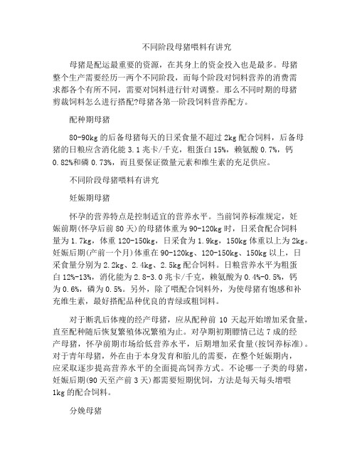 不同阶段母猪喂料有讲究