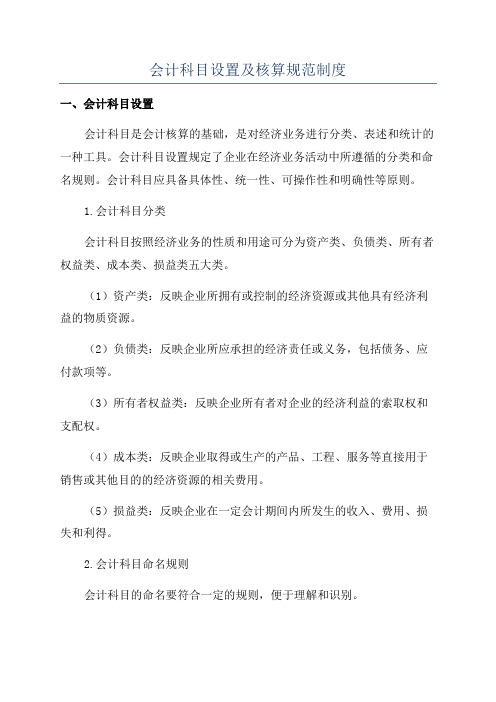 会计科目设置及核算规范制度