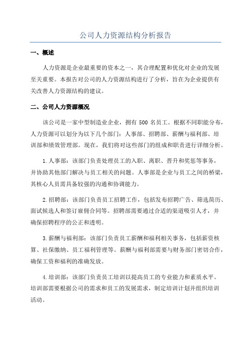 公司人力资源结构分析报告