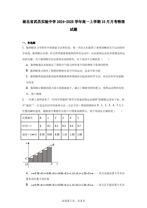 湖北省武昌实验中学2024-2025学年高一上学期10月月考物理试题