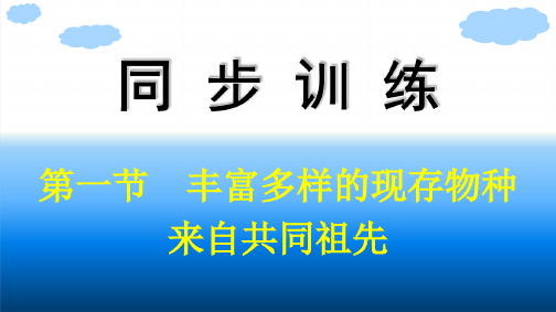 浙科版高中生物学必修2精品课件 第五章 生物的进化 第一节 丰富多样的现存物种来自共同祖先