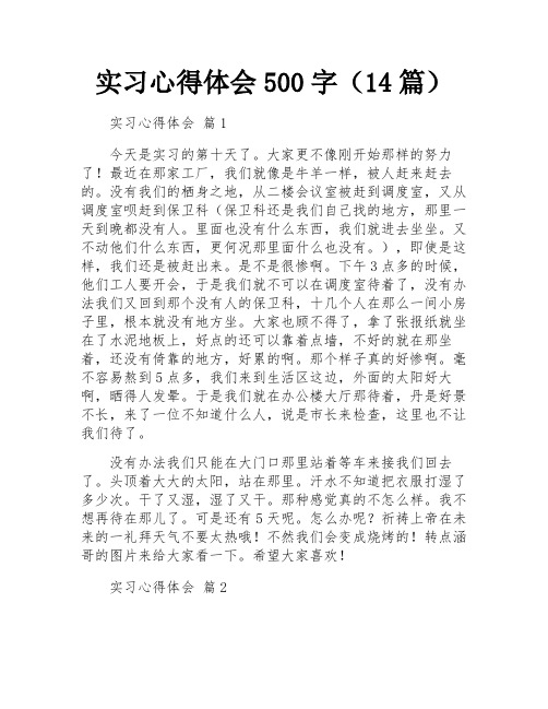 实习心得体会500字(14篇)