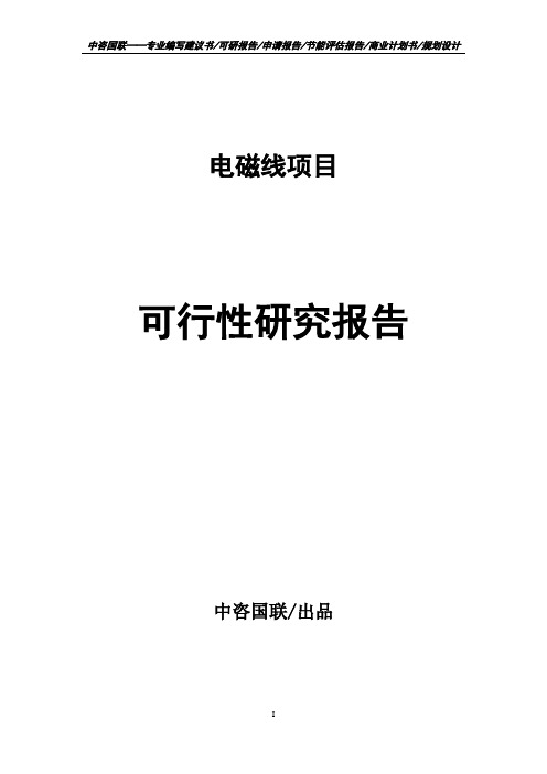 电磁线项目可行性研究报告