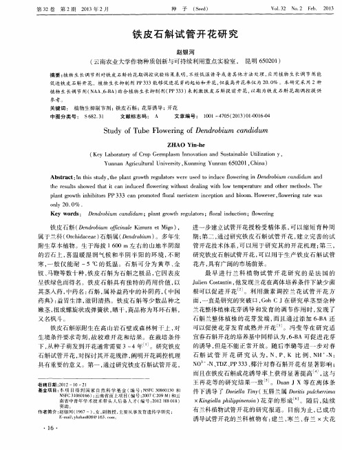 铁皮石斛试管开花研究