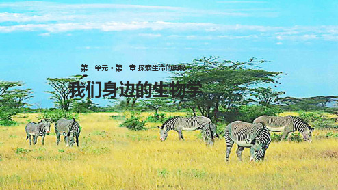 七年级生物上册 1.1.3《我们身边的生物学》课件