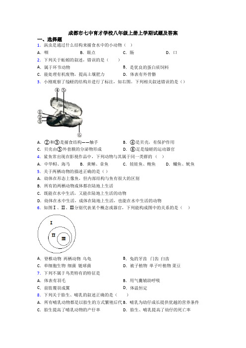 成都市七中育才学校八年级上册上学期试题及答案