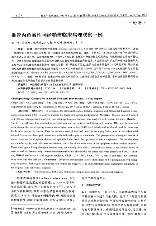 椎管内色素性神经鞘瘤临床病理观察一例