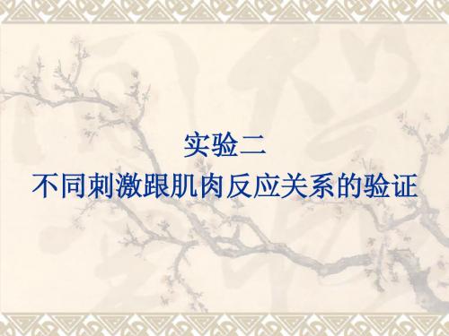 生理学实验2  不同刺激跟肌肉反应关系的验证