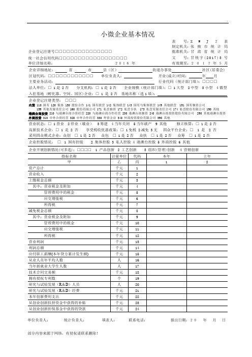 小微企业基本情况表