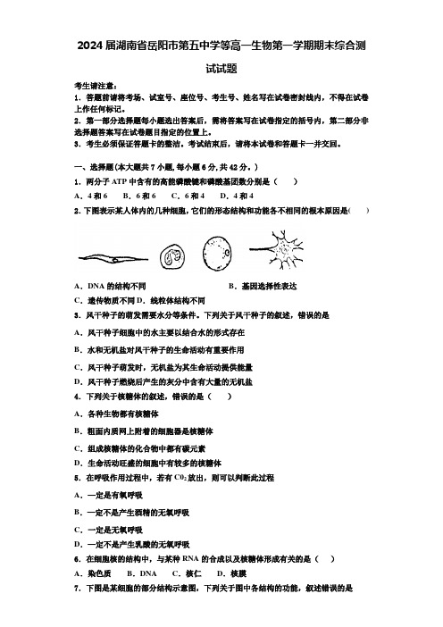 2024届湖南省岳阳市第五中学等高一生物第一学期期末综合测试试题含解析