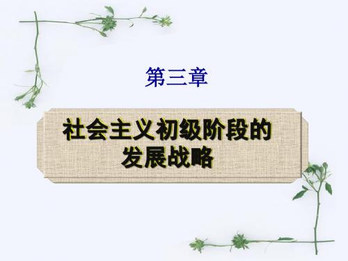 社会主义初级阶段的发展战略教材.ppt