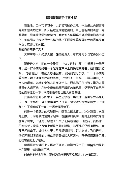 我的青春故事作文4篇