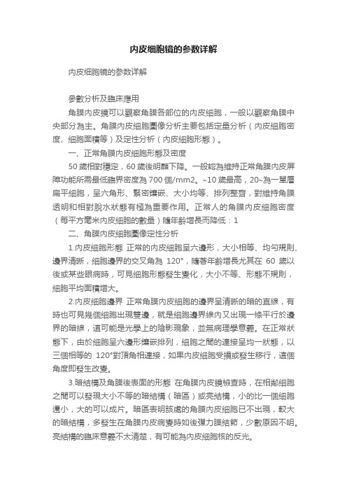 内皮细胞镜的参数详解