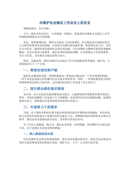 在维护社会稳定工作会议上的发言