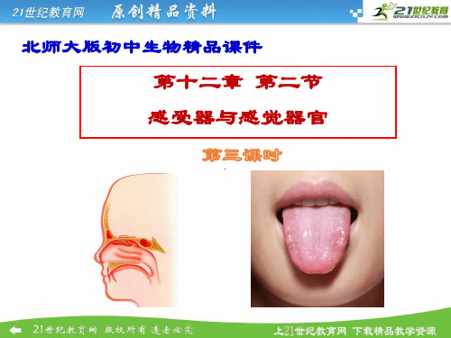 12.2感受器和感觉器官课件