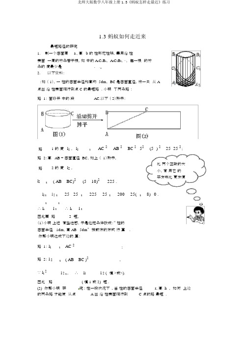 北师大版数学八年级上册1.3《蚂蚁怎样走最近》练习