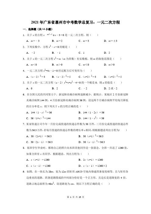 2021年广东省惠州市中考数学总复习：一元二次方程(含答案解析)