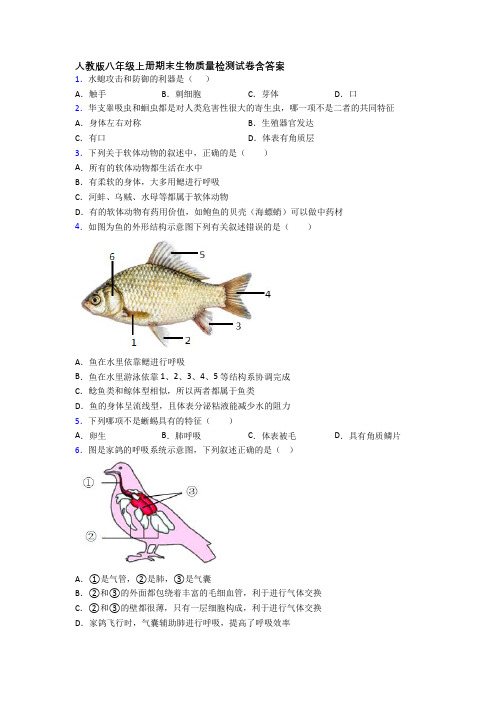 人教版八年级上册期末生物质量检测试卷含答案