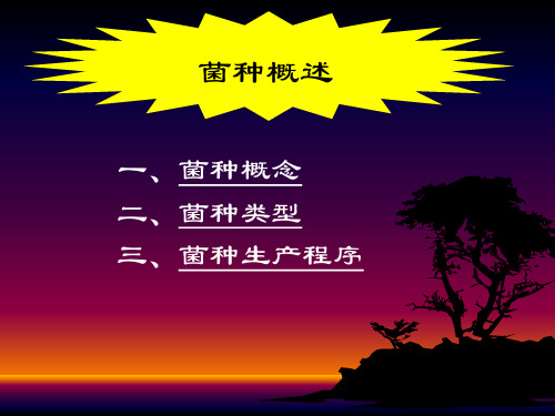 菌种培养基